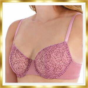 La Perla Studio”Lily” Salmon Pink Mesh Sheer Rose Swirl Embroidery 32D NWT $250